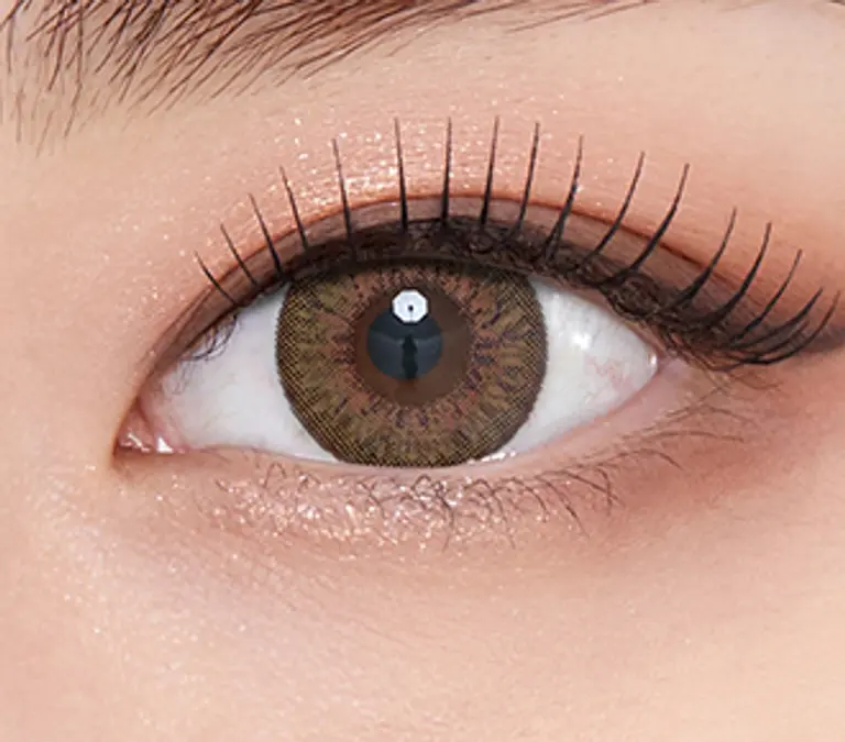 프렌치3콘 브라운